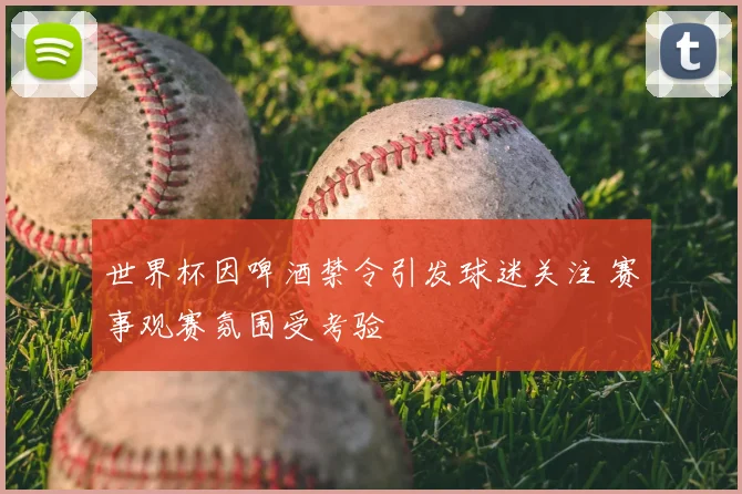 世界杯因啤酒禁令引发球迷关注 赛事观赛氛围受考验