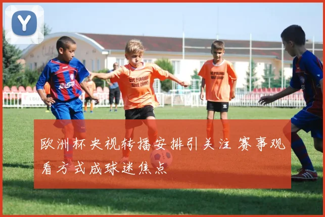 欧洲杯央视转播安排引关注 赛事观看方式成球迷焦点