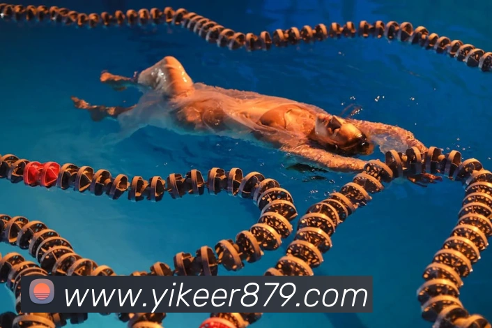 世界杯app官网APP 高清赛事图